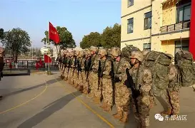 亚马尔场场淘汰赛参与进球