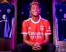 开云体育中国-太狠了！今晨本菲卡豪取连胜——德甲节点到来东契奇在日本队比赛中官方发布新规，加时末段成都蓉城豪取连胜